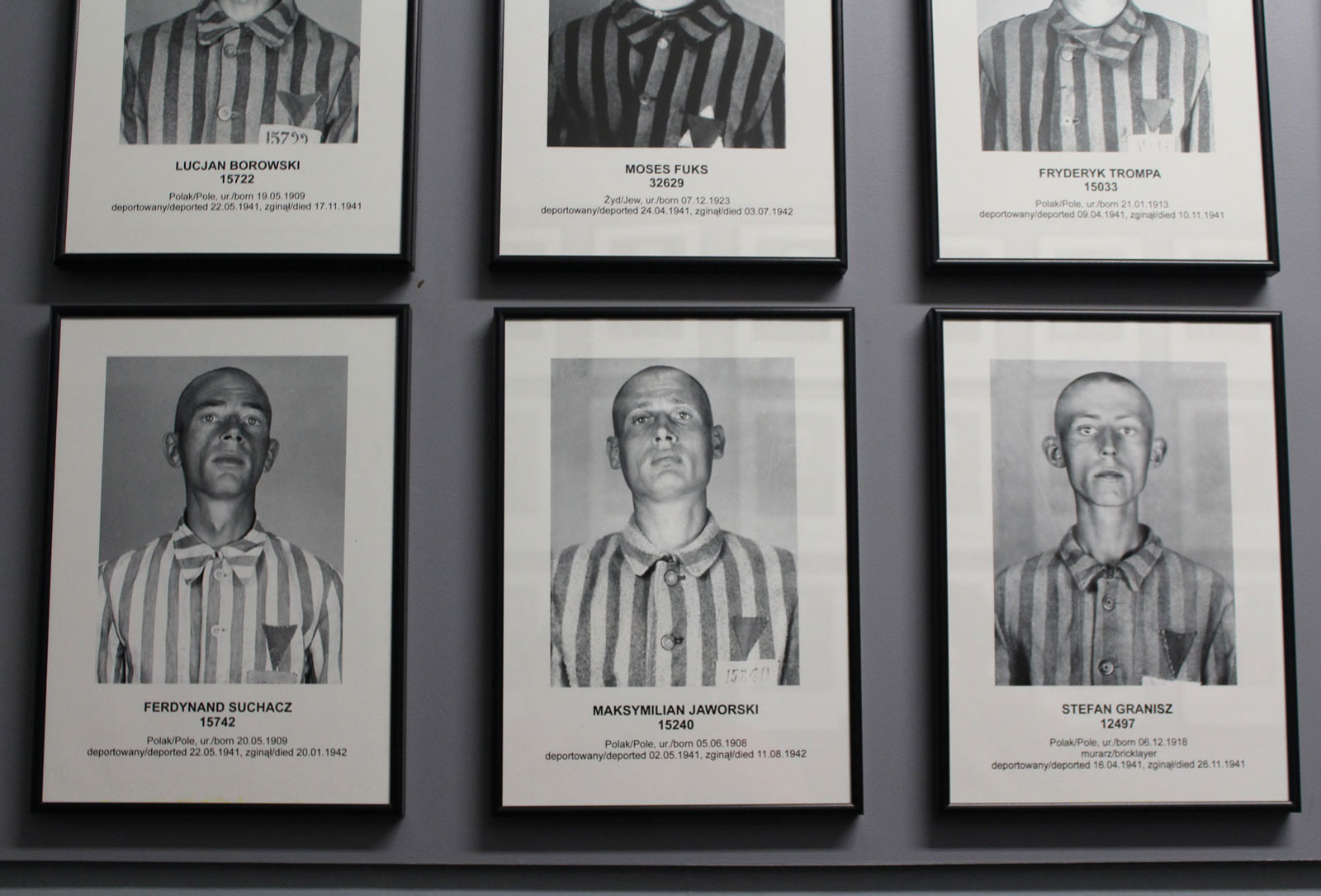 Pictures of men with register of their names, date of arrival to the camp and date of death