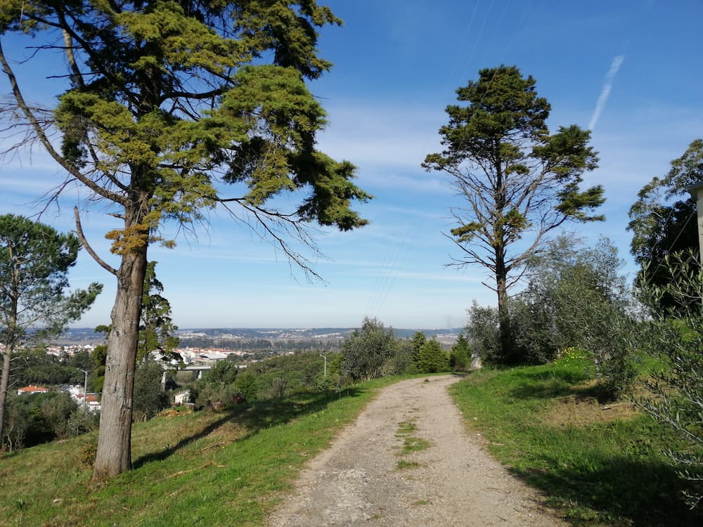 View over the city from a park